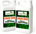 GS Plant Foods Liquid Kelp Fertilizer – Suitable for Organic Growing, OMRI Listed Seaweed Concentrate for Lawns, Gardens & Soil - 5 Gallons (2 x 2.5 Gallon containers)