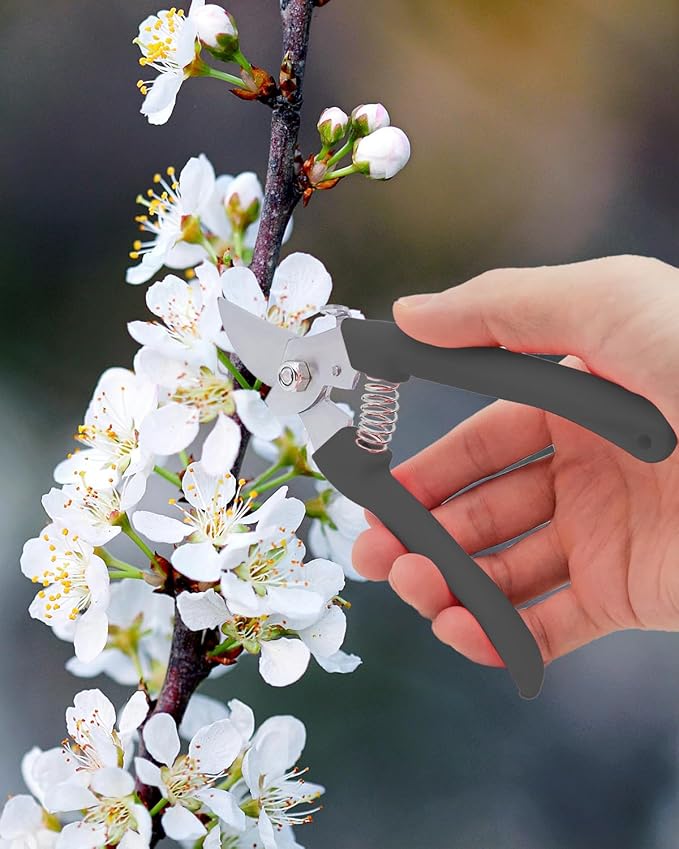 Pruning Shears for Gardening, 1 Pack Garden Scissors for Cutting Fresh Flowers, Floral Clippers for Plants, Fruits (Black)