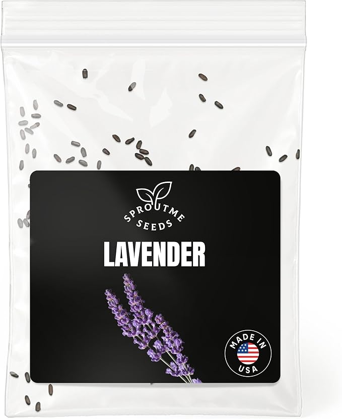Lavender Seeds for Planting – 100+ Non-GMO Heirloom English Lavender, Fragrant Flowers for Pollinators, Culinary & Aromatherapy Uses, High Germination (Lavandula angustifolia)