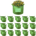 10 Gallon Garden Grow Bags, 30 Pack 10 Gal Planter Bags Fabric Pot, Nonwoven Grow Pots Heavy Duty Aeration Fabric Pots with Handles, Garden Fabric Planters for Vegetables Flowers (Green)