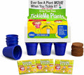 TickleMe Plant Deluxe Family Greenhouse Kit - Grow the Playful Plant that Closes Its Leaves When Tickled! Includes Mini Greenhouse, 3 Seed Packets, Soil Pellets & Pots - Fun Indoor Gardening Gift