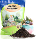 Succulent and Cactus Soil Potting Mix 10qt-Premium Breathable & Fast Draining for Healthy Plants
