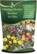 Outsidepride Sunburst Short Seed Mix - 1 lb. Annual, Easy to Grow & Pollinator Friendly, Wildflower Seeds for Planting w/Vibrant Low-Growing Flowers, Ideal for Ground Cover & Erosion Control