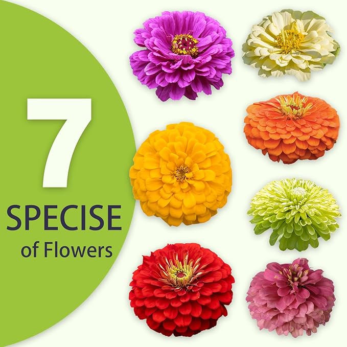 Zinnia Seeds Bulk 15,000+ | Outdoor Flower for Planting |Giant Zinnia Seeds for 2026 Bulk| Mixed Colors & Large Blooms for Gardens| High Germination, Beginner-Friendly