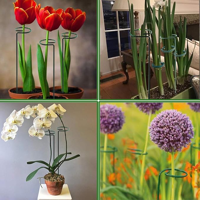 12 Pack Plant Stake Support, Garden Single Stem Support Stake Plant Cage Support Rings, Single Stem Plant Support Stakes, for Tomatoes, Peony, Lily, Rose, Flowers Amaryllis