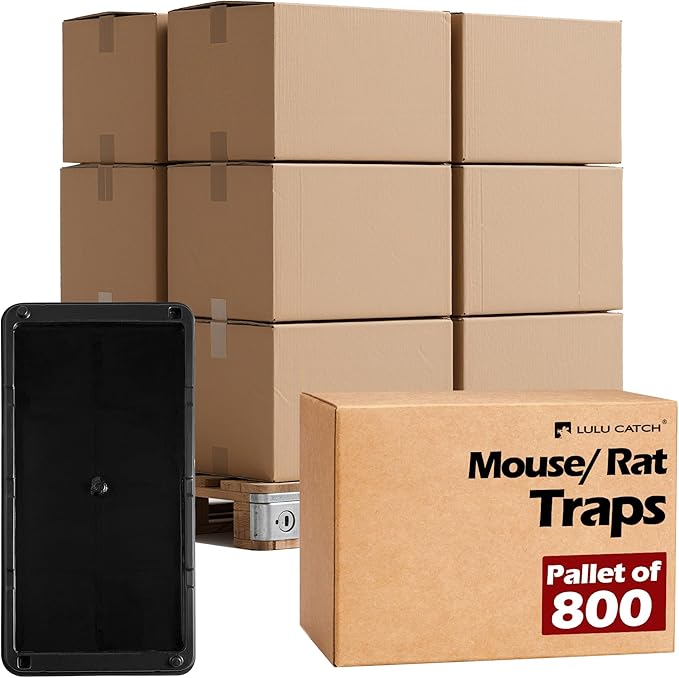 LULUCATCH Super Glue Traps 800 Pack for Mice & Snakes, Larger, Heavier Sticky Traps with Non-Toxic Glue. Sticky Mouse Traps Indoor, Easy to Set, Pet Safe Pest Control