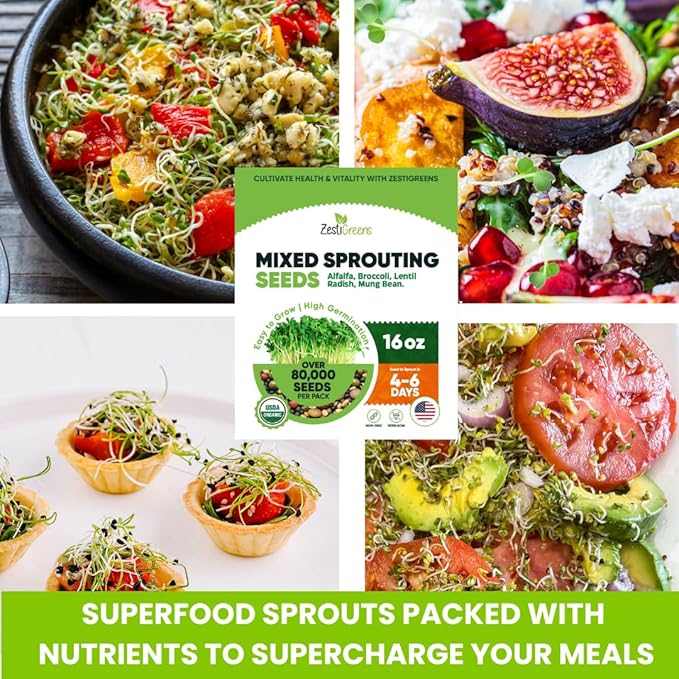 ZestiGreens Fresh Sprouting Seeds Mix (16oz), Fresh Salad Blend - USA Grown Microgreens Mix with Alfalfa, Broccoli, Radish, Mung Bean & Lentil - Over 80,000 Seeds