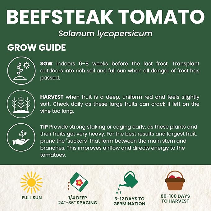 Beefsteak Tomato Seeds – Over 400 Premium Heirloom Seeds for Planting for The 2026 Season – Juicy, Flavor-Rich Garden Favorite – 1 Gram Pouch