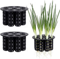 2 Pack Green Onion Planter Scallion Grower Seed Sprouting Kit Compatible with Regular Mouth Mason Jar for Windowsill Garden, Hydroponics, and Propagation Hydroponics Enthusiasts (Black)