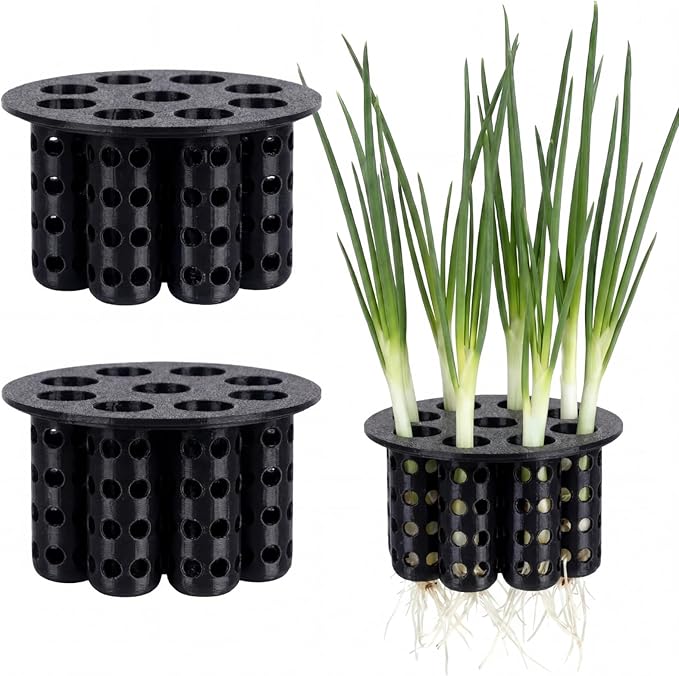 2 Pack Green Onion Planter Scallion Grower Seed Sprouting Kit Compatible with Regular Mouth Mason Jar for Windowsill Garden, Hydroponics, and Propagation Hydroponics Enthusiasts (Black)