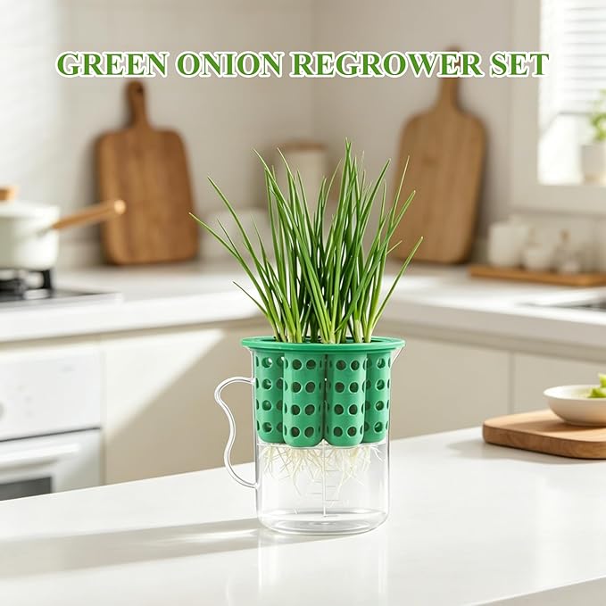 2Sets Green Onion Planter Scallion Grower Seed Sprouting Kit, 2 Green Onion Regrower Container and 2 Plastic Cups with Handle for Windowsill Garden Indoor Hydroponics Propagation Enthusiasts