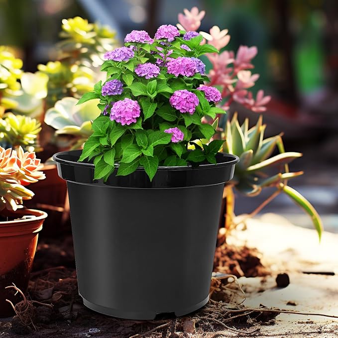 RooTrimmer 3 Gallon Plastic Nursery Pots 50 Pack, 10 Inch Round Plant Pots with Drainage Holes, Planting Pot for Outdoor Indoor Plants