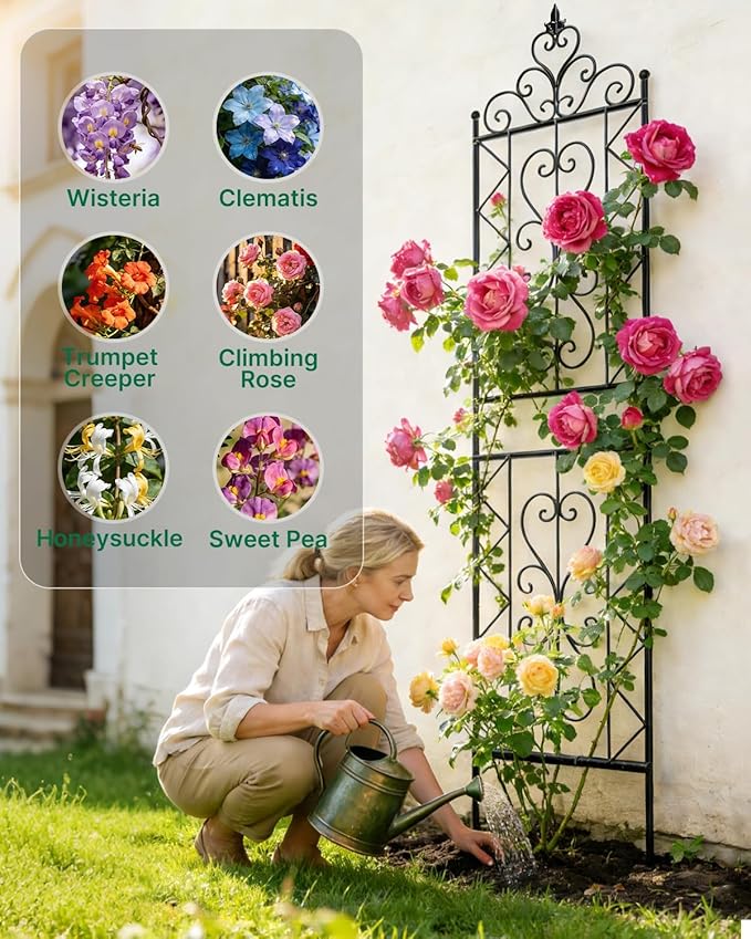 ARIFARO 78 inch Metal Garden Trellis for Climbing Plants, Pack of 2, Indoor/Outdoor Sturdy Decorative Plant Trellises for Potted Plants, House Plants, Climbing Vines, Floral Pattern