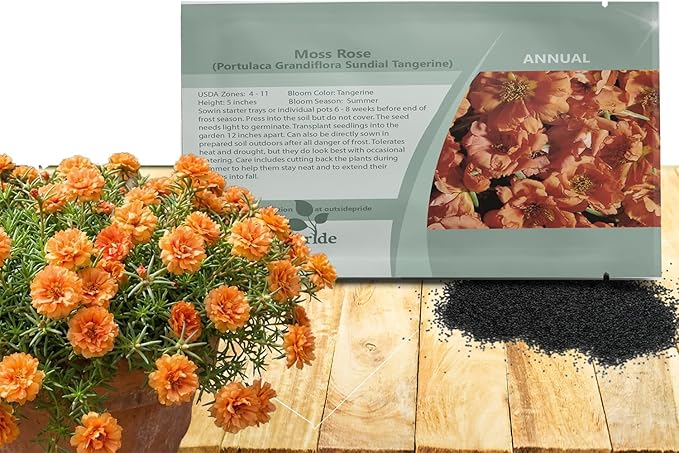 Outsidepride Tangerine Moss Rose Seeds - 500 Pcs Annual, Drought & Heat Tolerant, Pollinator Friendly Ground Cover Seeds for Planting w/Vibrant Blooms & Succulent Foliage, Ideal for Xeriscaping