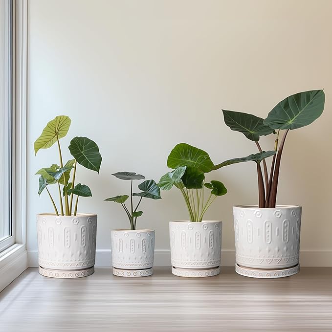 Eightpot 8 Inch Plant Pot, Ceramic Planter for Indoor Plants Outdoor, Round Planter with Drainage Hole and Tray, Boho Flower Pot, Decorative Pots for Plants, Home Decor, Plant Lover Gifts, White