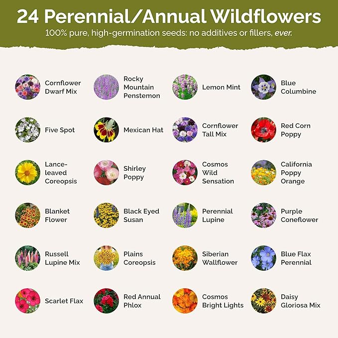 Eden Brothers Western Wildflower Mixed Seeds for Planting, 50 lb, 24,000,000+ Seeds with Cornflower, Blanket Flower | Attracts Pollinators, Plant in Spring or Fall, Zones 3, 4, 5, 6, 7, 8, 9, 10