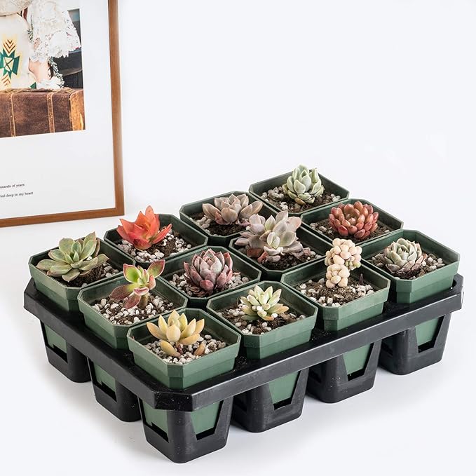 foxany 3" Plants Nursery Pot, 30 Pcs Thick Plastic Square Planting Pots, Plant Seedling Pots, Seed Starting Pots with 30 Saucers - Black-Green