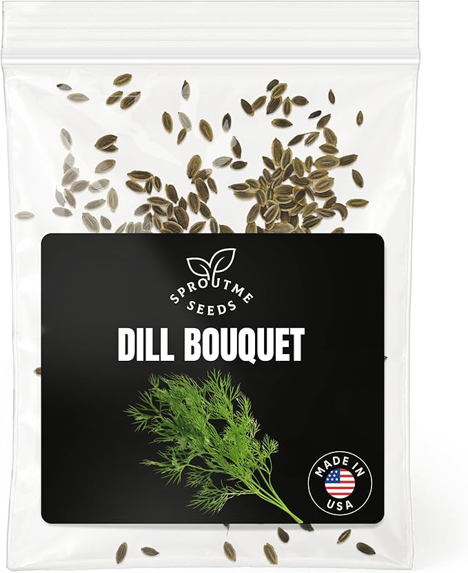 Dill Bouquet Seeds for Planting – 200+ Dill Herb Seeds, Non-GMO Heirloom, High Germination, Pickling & Cooking Herb, Indoor & Outdoor Garden (Anethum graveolens)