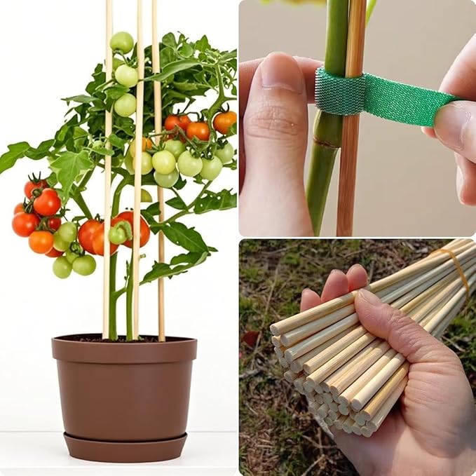 100 PCS 3FT Bamboo Plant Stakes, 6.3mm Thick – 36 Inch Bamboo Sticks for Indoor & Outdoor Plants – Garden Plant Support Stakes for Tomato, Beans, Climbing Plants & More
