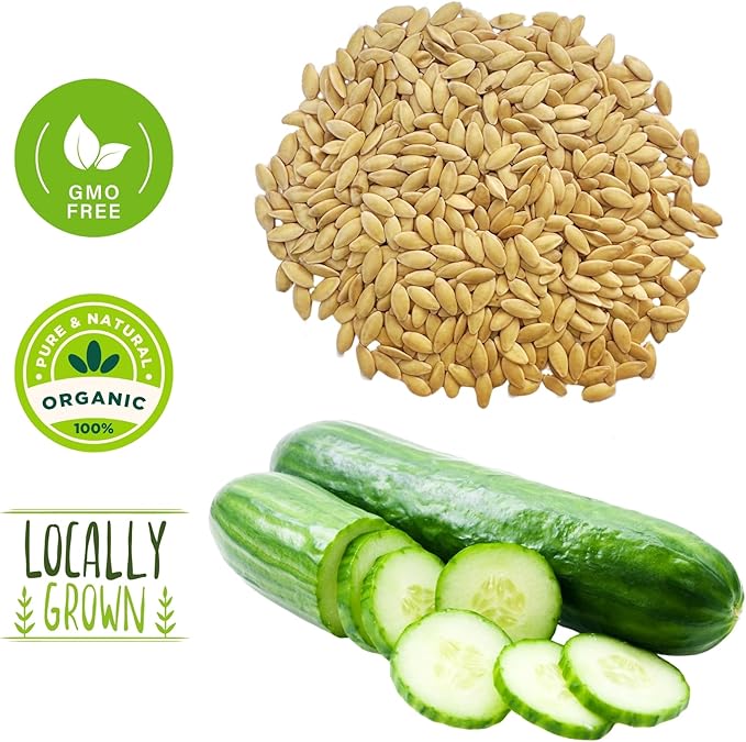 250+ Organic Marketmore Cucumber Seeds – Premium Heirloom Seeds – Perfect for Gardens, Raised Beds & Containers – Crisp, Delicious & Non-GMO – USA Grown (Cucumis sativus)