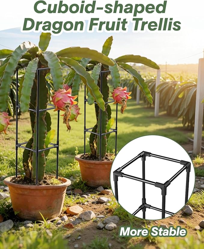 2PCS Dragon Fruit Trellis for Climbing Plants Indoor Outdoor, Heavy Duty Metal Adjustable Vertical Garden Support for Indoor Outdoor Potted Plants, Tomato, Cactus, Roses,Vines(10 * 10 * 47inch,2PC)