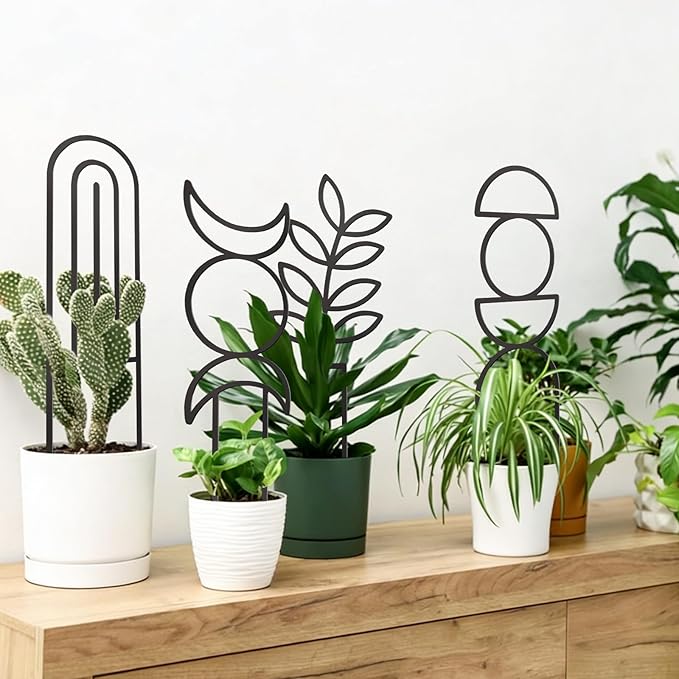 4 Pcs Indoor Plant Trellis for Climbing Plants, Small Trellis for Potted Plants, Garden Metal Trellis Plant Support Trellis with Different Patterns for Vine Ivy Flower (Boho)