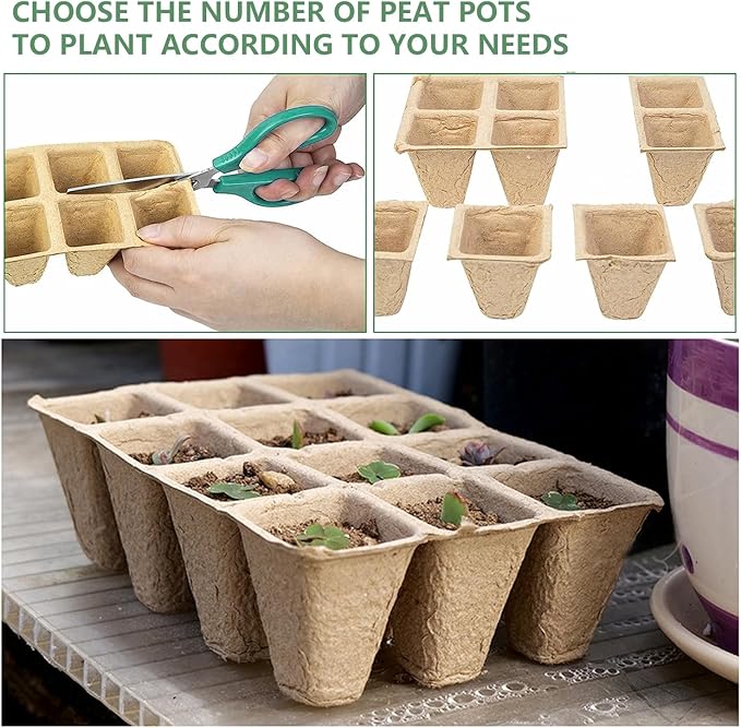 240 Cells Seed Starter Tray, 20 Pack Biodegradable Peat Pots with 200 Labels, Plant Starter Kit for Seedlings