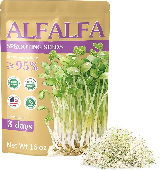 Organic Alfalfa Sprout Seeds (16 oz), Certified Non-GMO, Heirloom Seeds, Premium Alfalfa Sprouting Seeds for Sprouting and Microgreens, High Yield High Germination, Resealable Bag