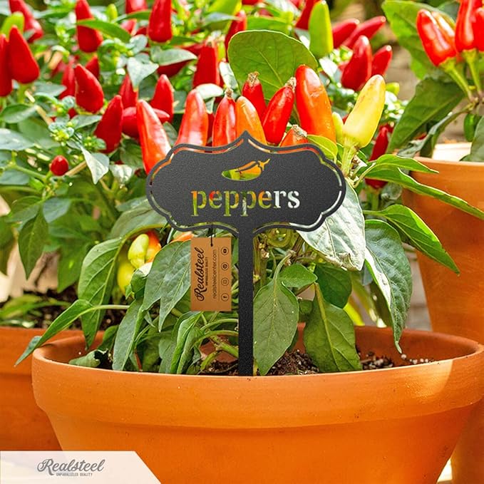 RealSteel - Seed & Plant Markers - Indoor/Outdoor Herb Garden Stakes - Elegant Fruit/Vegetable Seed Labels - Durable Plant Tags for Pots - Classy Design for Farmhouse/Greenhouse (Kale)