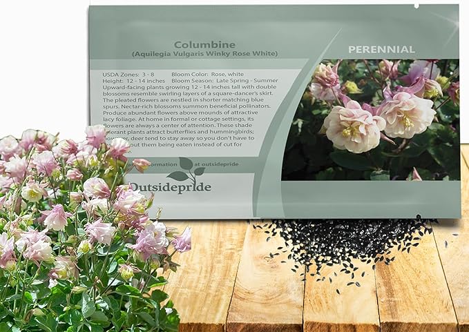 Outsidepride Rose White Columbine Seeds - 10 Pcs Perennial, Easy to Grow Flower Seeds for Planting, Suitable for Pollinator-Friendly Garden, Cut Floral Arrangements, Ground Covers, or Borders