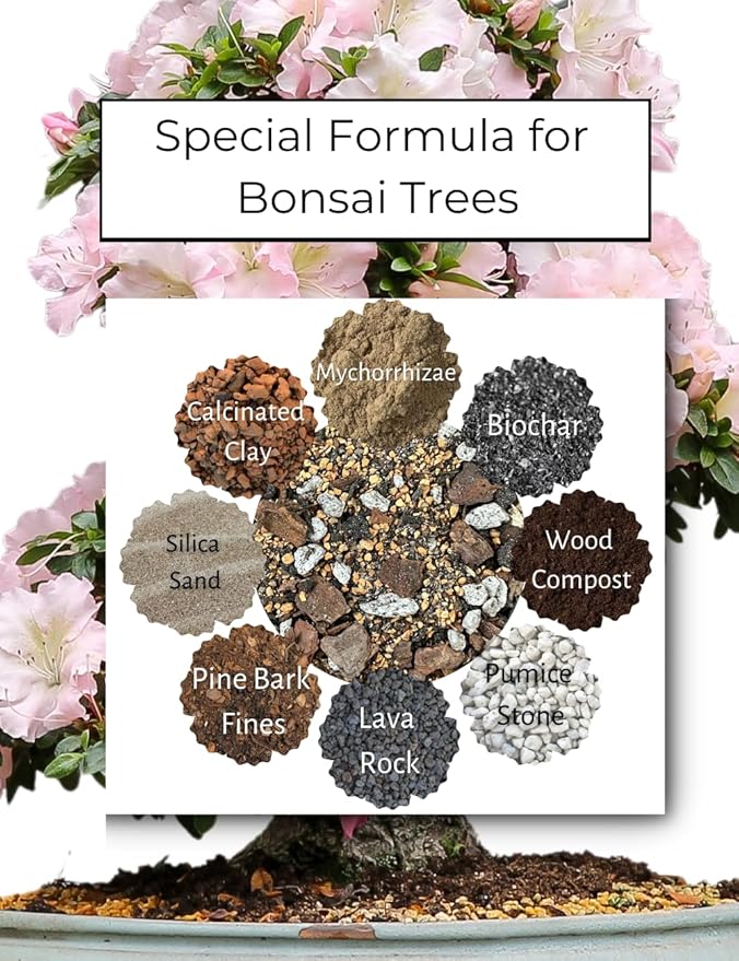 Bonsai Tree Potting Mix, Organic. 2qt Bag (3.5lbs) with Biochar, Mycorrhizae, Lava Rocks, Pumice, Pine Bark, Wood Compost, and Other Essential Nutrients.