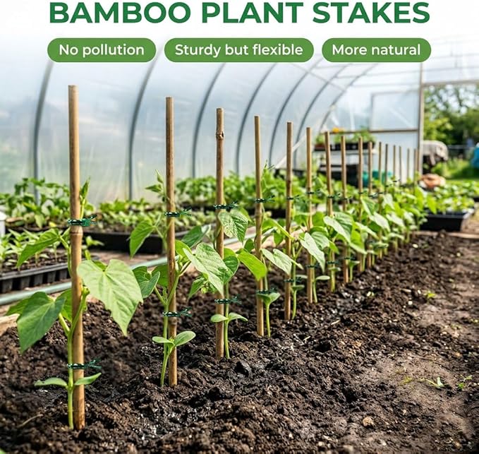 Plant Stakes Natural Bamboo Sticks - 35 Pcs Bamboo Garden Stakes for Plants 4 FT Plant Support Sticks with Twist Ties for Tomatoes Beans Flowers Indoor Outdoor Potted Climbing Plants