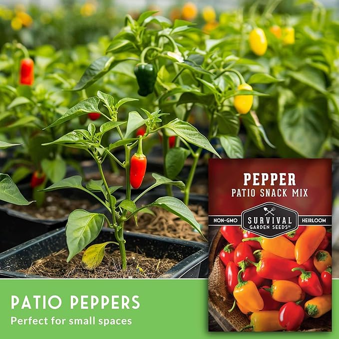 Patio Snack Mix Mini Sweet Pepper Seeds for Planting | Compact Lunchbox-Style Heirloom Variety – Non-GMO Container Garden Peppers – Survival Garden Seeds (1 Pack)