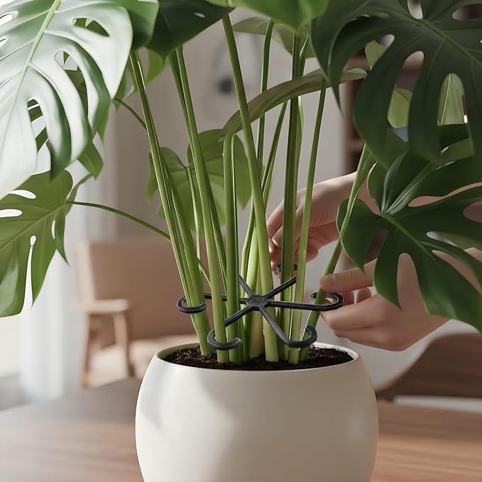 16 PCS Plant Stem Support – Reusable Plastic Plant Stem Holder for Monstera, Indoor Plant Support Clips, Gardening Accessories (Black)