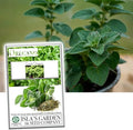 Greek Oregano Herb Seeds for Planting, 2500+ Seeds Per Packet, (Isla's Garden Seeds), Non GMO & Heirloom Seeds, Botanical Name: Origanum vulgare, Great Herb Garden Gift