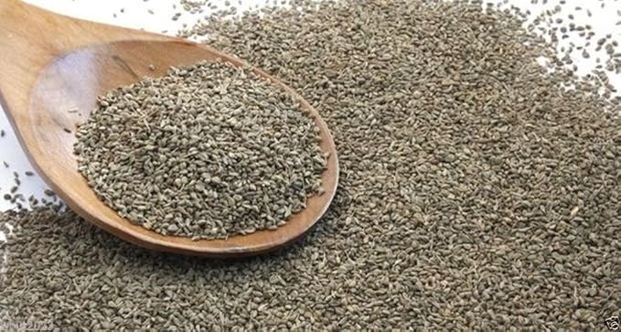 200 Seedsv Ajwain Herb Plant Seed- Carom, Ethiopian Cumin- Medical/culinary Herb- Ez to Grow