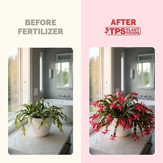 TPS NUTRIENTS Christmas Cactus Fertilizer for All Christmas Cacti and Schlumbergera Cacti, Liquid Plant Food 8 oz (250mL)