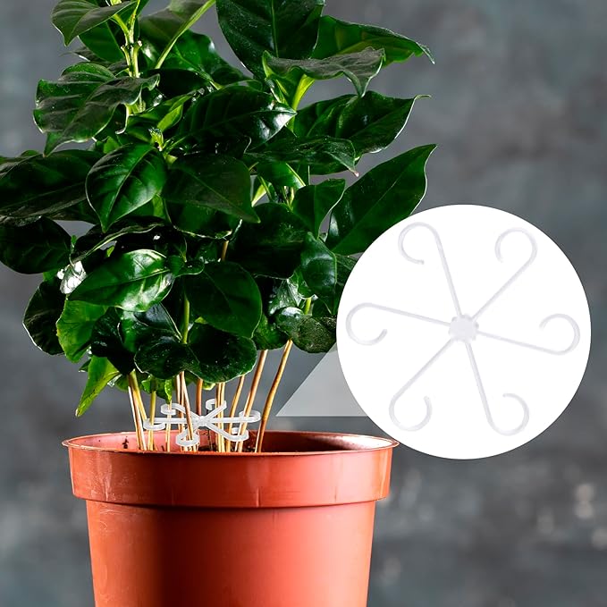 PAGOW 8 Pcs Climbing Houseplant Stem Supports, Clear Plastic Flower Plant Growth Stakes Trellis, Reusable Plant Stem Holders, Stem Hook Growth Accessories for Plant Garden (4 Sizes)