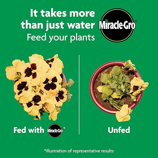 Miracle-Gro Shake 'N Feed All Purpose Plant Food,for In-Ground and Container Plants,Feeds for up to 3 Months,1 lb.,(Pack of 6)