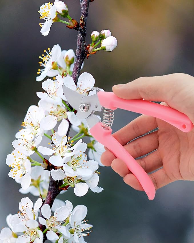 Pruning Shears for Gardening, 4 Pack Garden Scissors for Cutting Fresh Flowers, Floral Clippers for Plants, Fruits (Pink)