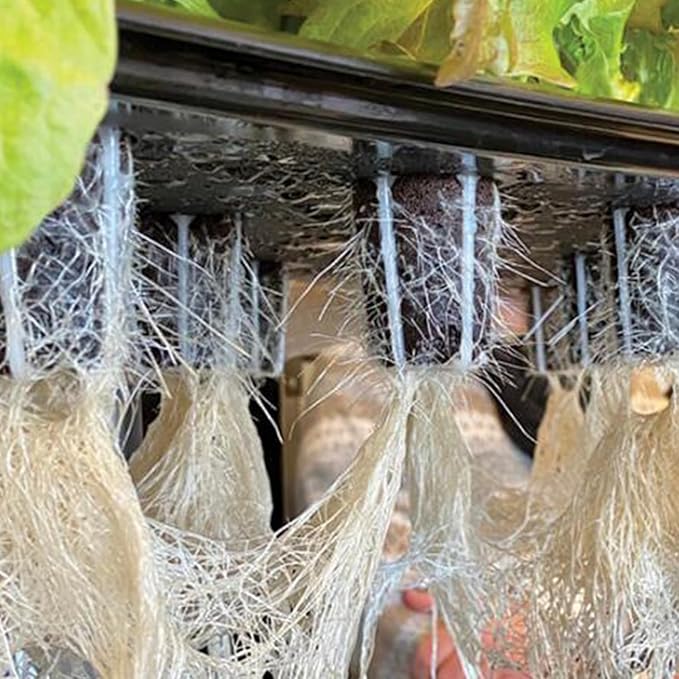 100pcs Grow Sponges Seed Starter Pods, Indoor Plants Hydroponics Supplies Compatible with QYO, LYKO,Idoo Hydroponics Growing System(Square)