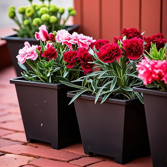 Square Nursery Pots 60Pcs 3" Deep Succulent Plastic Pots Small Flower Planter Seeds Starter Germination Pots for Plants, Succulent, Flower