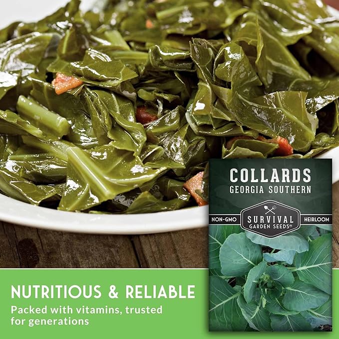 Collard Green Seeds for Planting | Georgia Southern Heirloom Non-GMO Variety | Leafy Greens for Home Vegetable Gardens - Survival Garden Seeds (1 Pack)