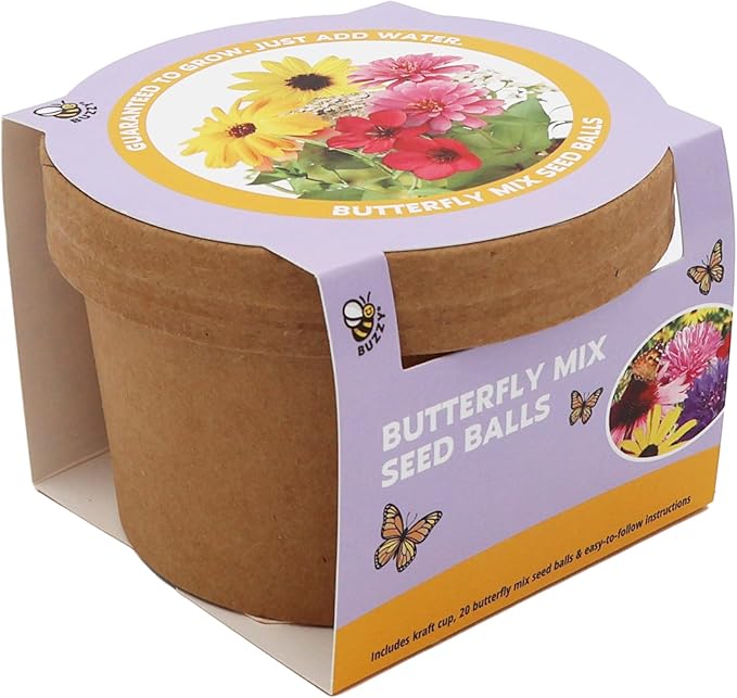 BUZZY Seeds 20 Colorful Wildflower Seed Balls – Toss, Scatter, and Grow a Garden of Bright Blooms, Over 50 Seeds Per Ball, Eco-Friendly Outdoor Flower Fun