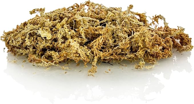 Premium New Zealand Sphagnum Moss by Gardenera - 10 Quart - Organic Hand Mixed Long Fibered Sphagnum Moss Orchid (2 Bags of 5 Quart)