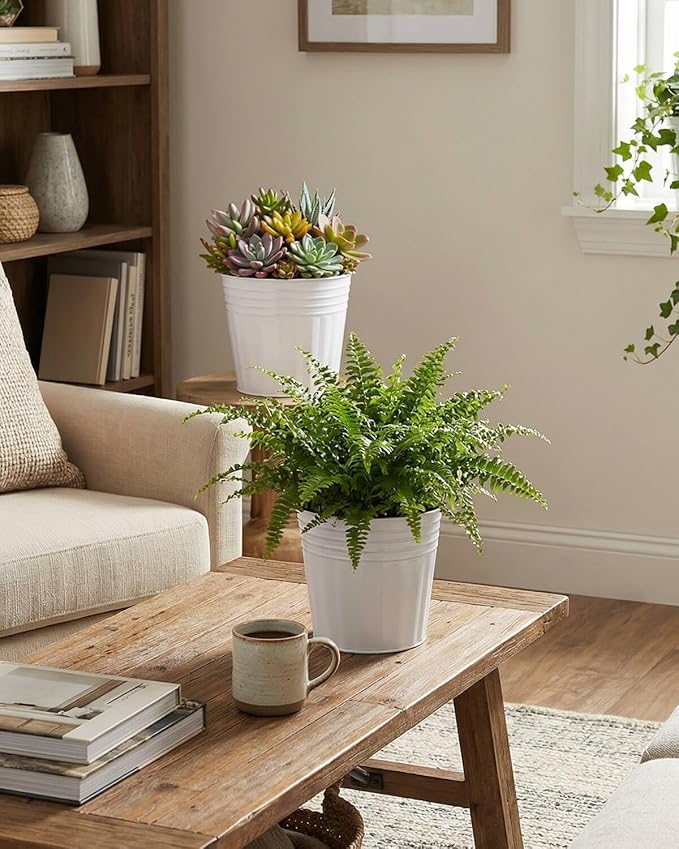 6 Inch White Metal Rustic Flower Pots - 6Pcs Galvanized Planters with Drainage Hole and Rubber Plug, Rustproof Metal Bucket Plant Pots Farmhouse Vintage Style for Decor