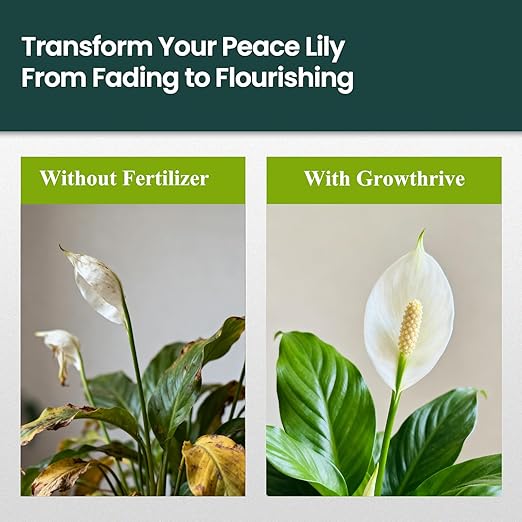 10oz Liquid Peace Lily Fertilizer & Organic Plant Food | Chemical-Free Microbial Probiotic Nutrients for Indoor Houseplants & Spathiphyllum