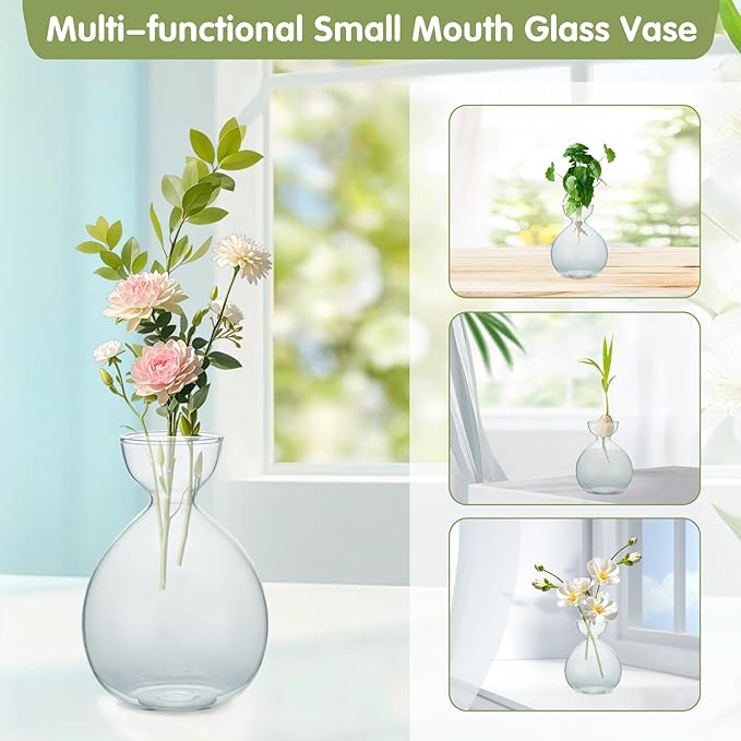 2PCS Avocado Vase Grow Glass Bulb Vases Acorn Seed Starter Vase Avocados Pit Planter Pot for Gardening Lover Indoor Hydroponics