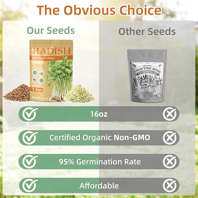 Organic Radish Sprout Seeds (16 oz), Certified Non-GMO, Heirloom Seeds, Premium Radish Sprouting Seeds for Sprouting and Microgreens, High Yield High Germination, Resealable Bag