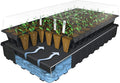 Burpee Self Watering Seed Starting Kit Replacement Water Mat